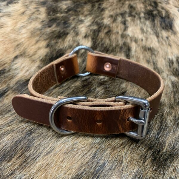 Dog Collar