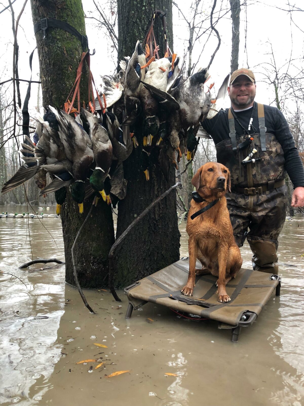 The “Sugar Man” Duck Tote