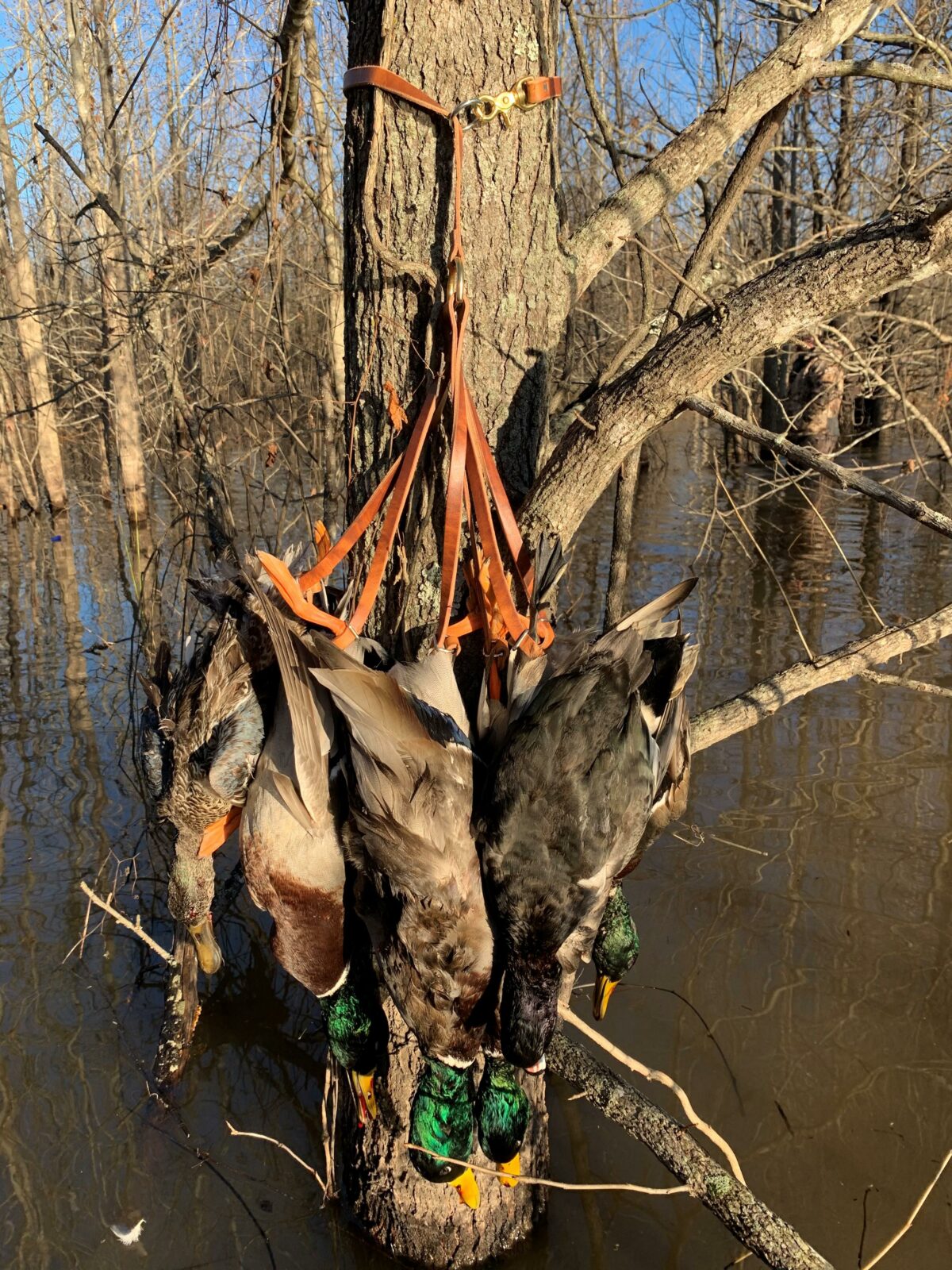 The “Cowboy” Duck Tote